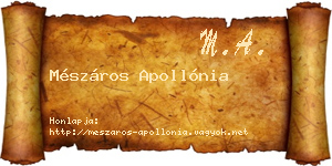 Mészáros Apollónia névjegykártya