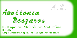 apollonia meszaros business card